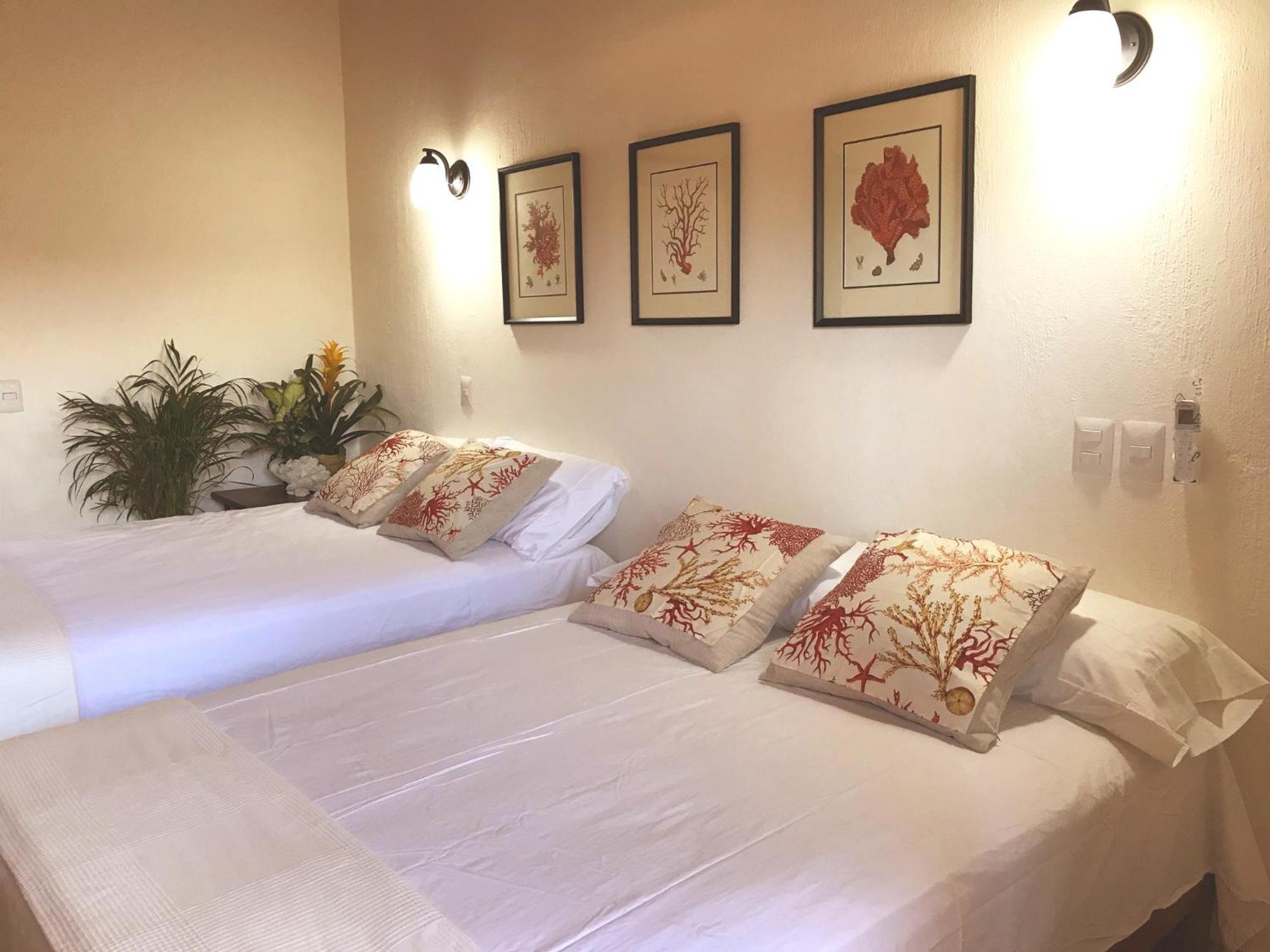 Casa Botanica Ξενοδοχείο Lo de Marcos Εξωτερικό φωτογραφία