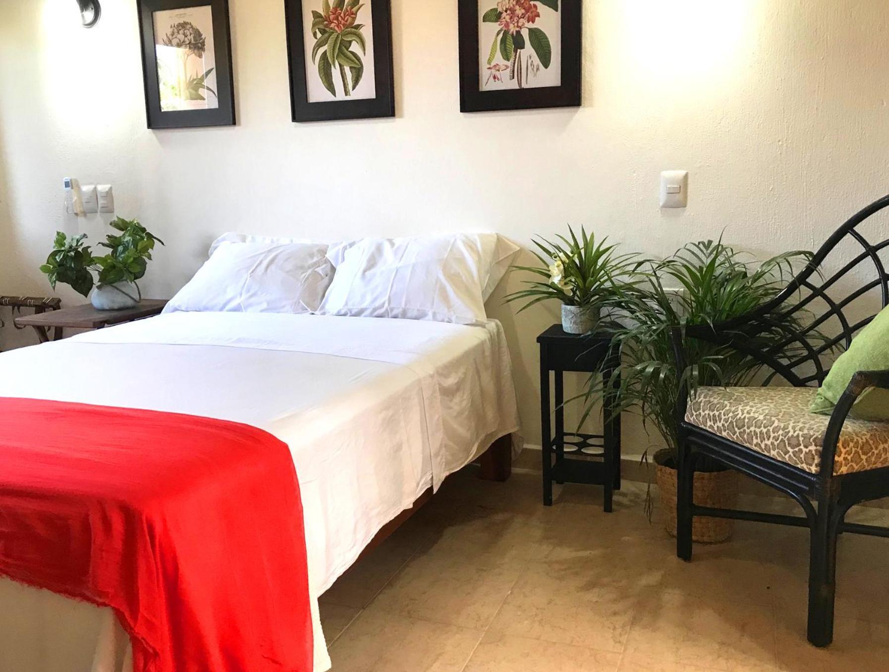 Casa Botanica Ξενοδοχείο Lo de Marcos Εξωτερικό φωτογραφία