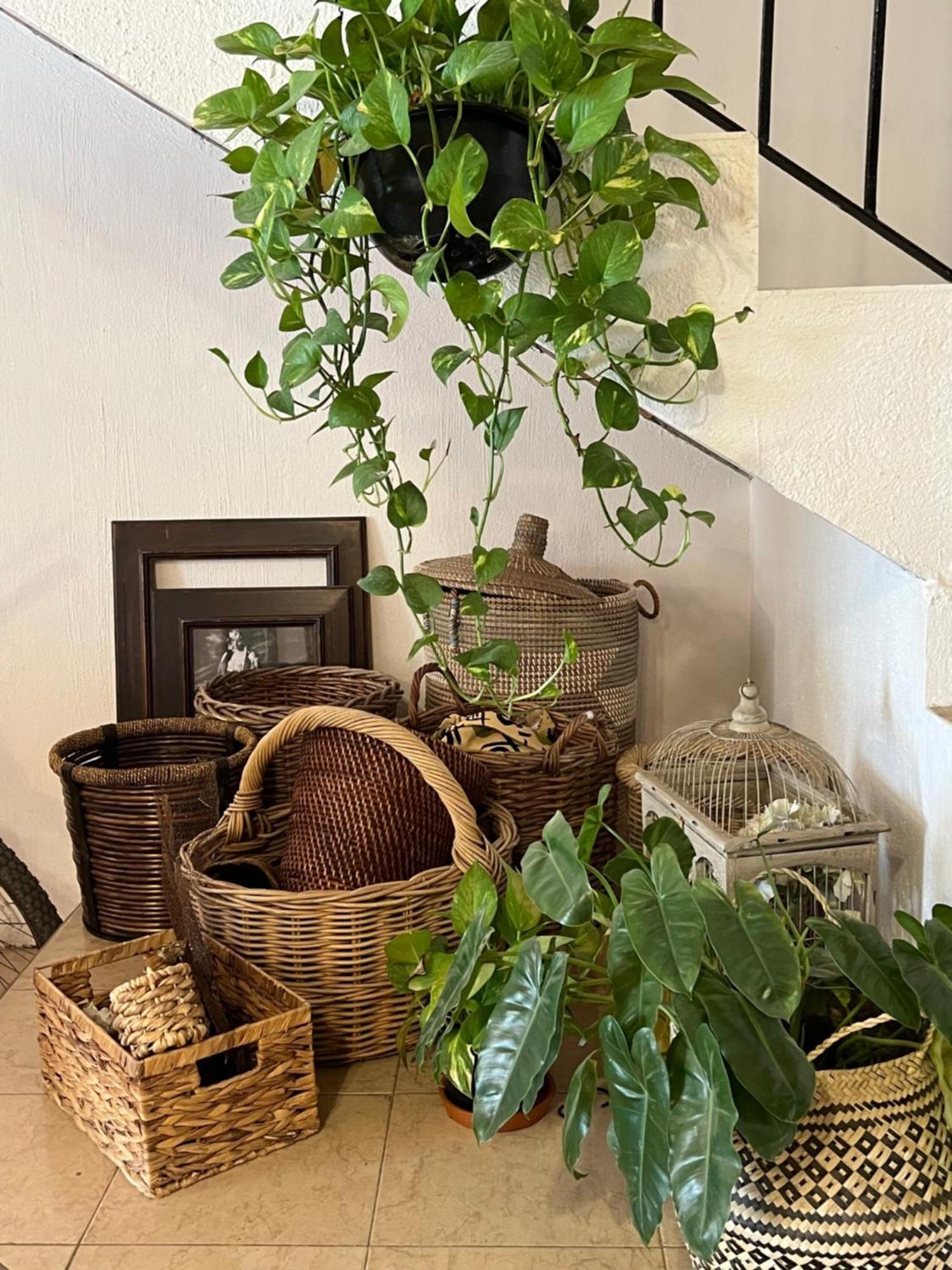 Casa Botanica Ξενοδοχείο Lo de Marcos Εξωτερικό φωτογραφία