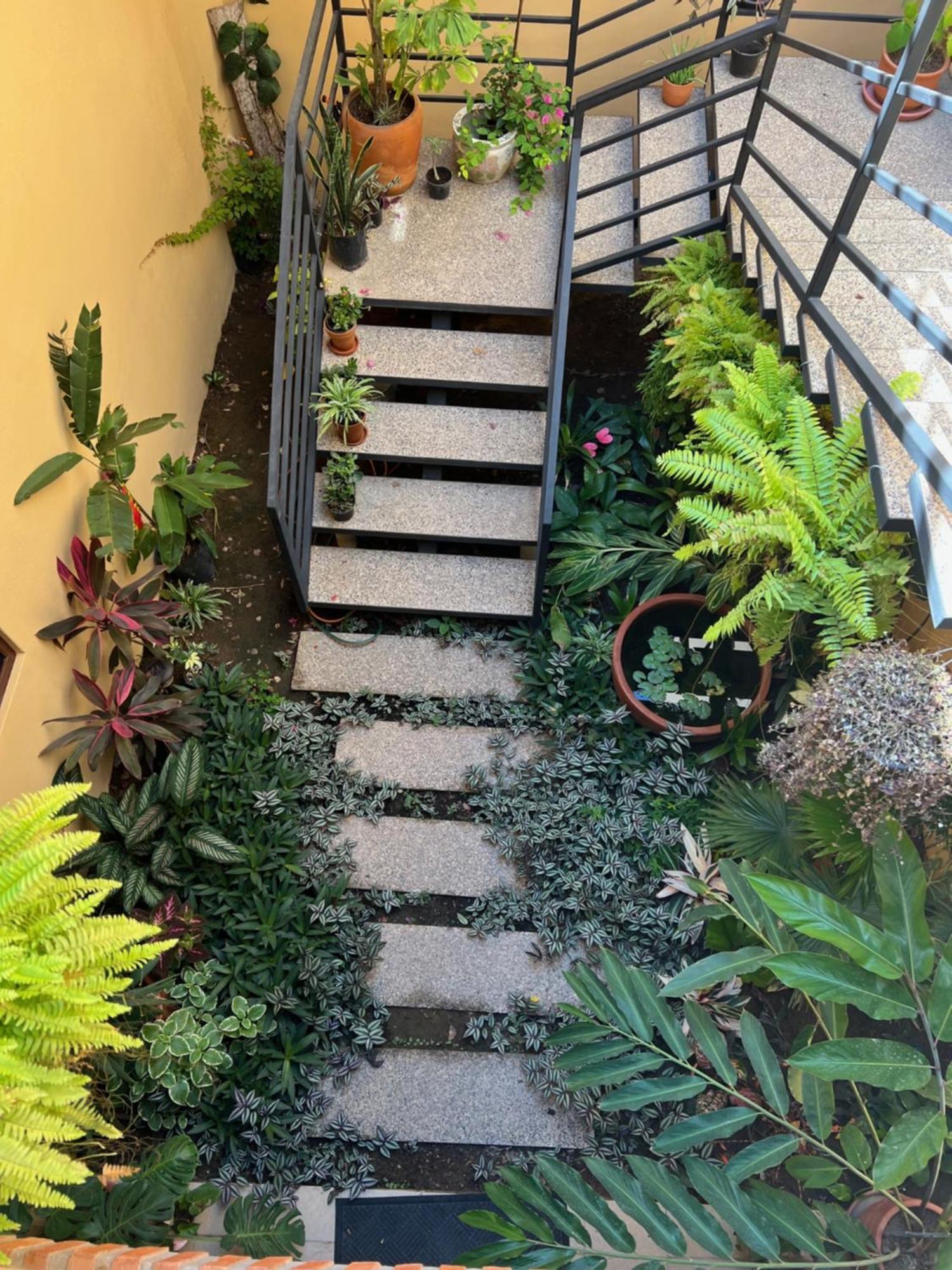 Casa Botanica Ξενοδοχείο Lo de Marcos Εξωτερικό φωτογραφία