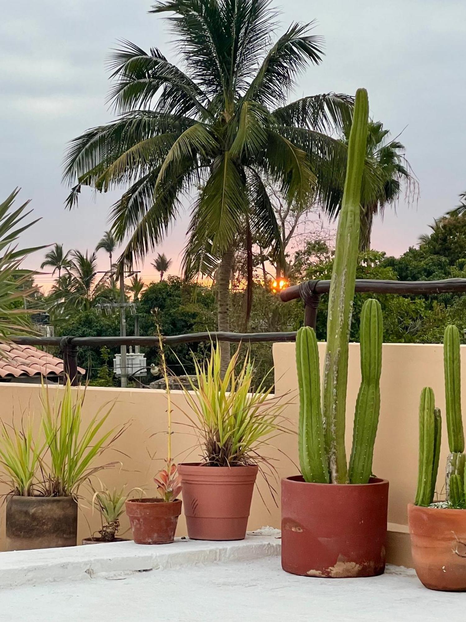 Casa Botanica Ξενοδοχείο Lo de Marcos Εξωτερικό φωτογραφία