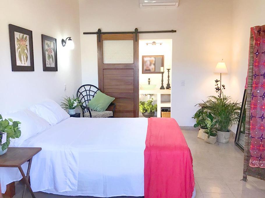 Casa Botanica Ξενοδοχείο Lo de Marcos Εξωτερικό φωτογραφία