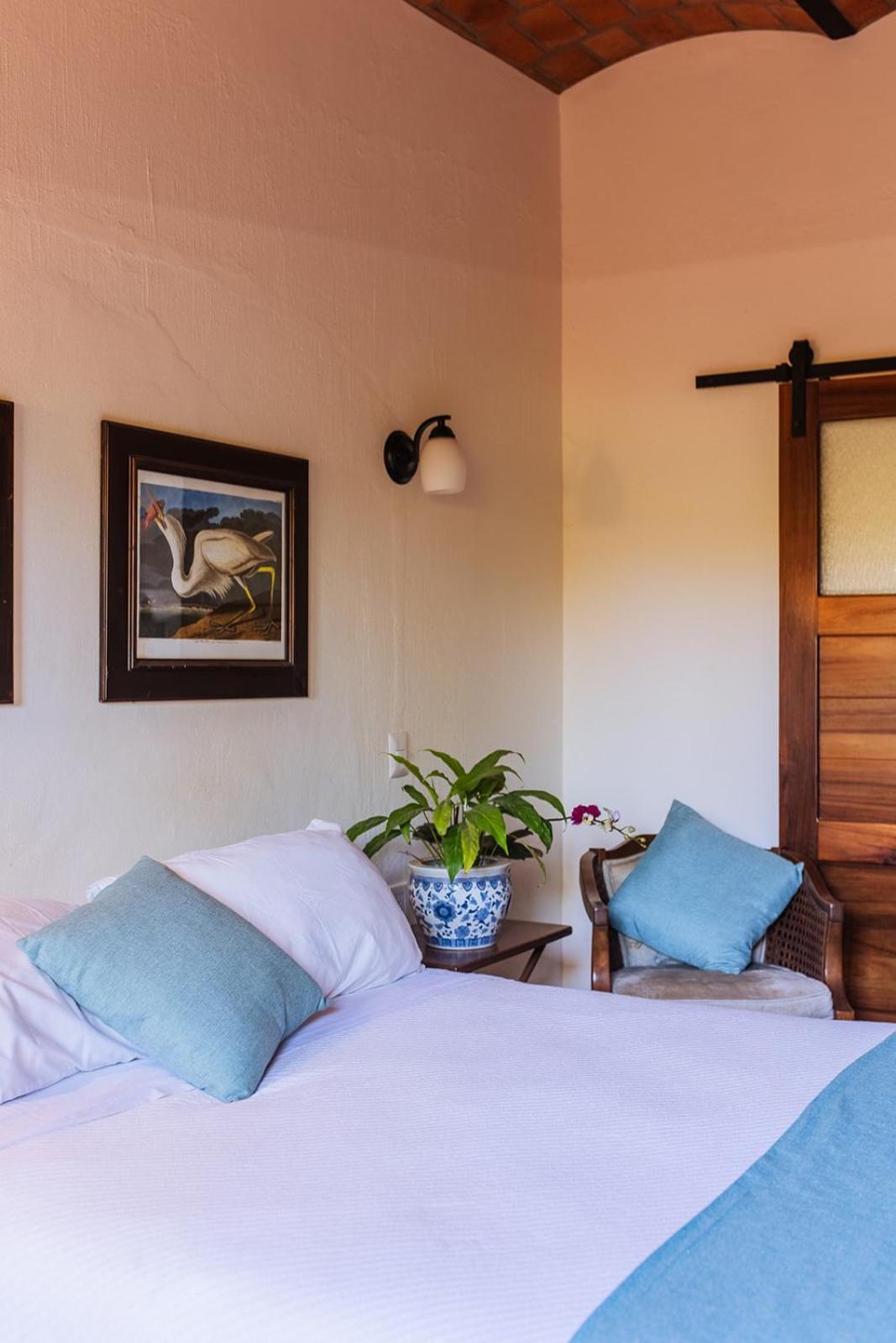 Casa Botanica Ξενοδοχείο Lo de Marcos Εξωτερικό φωτογραφία